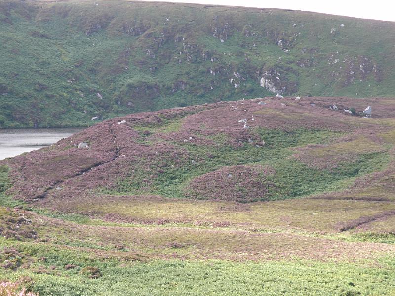 20100820j Wicklow Mountains.JPG